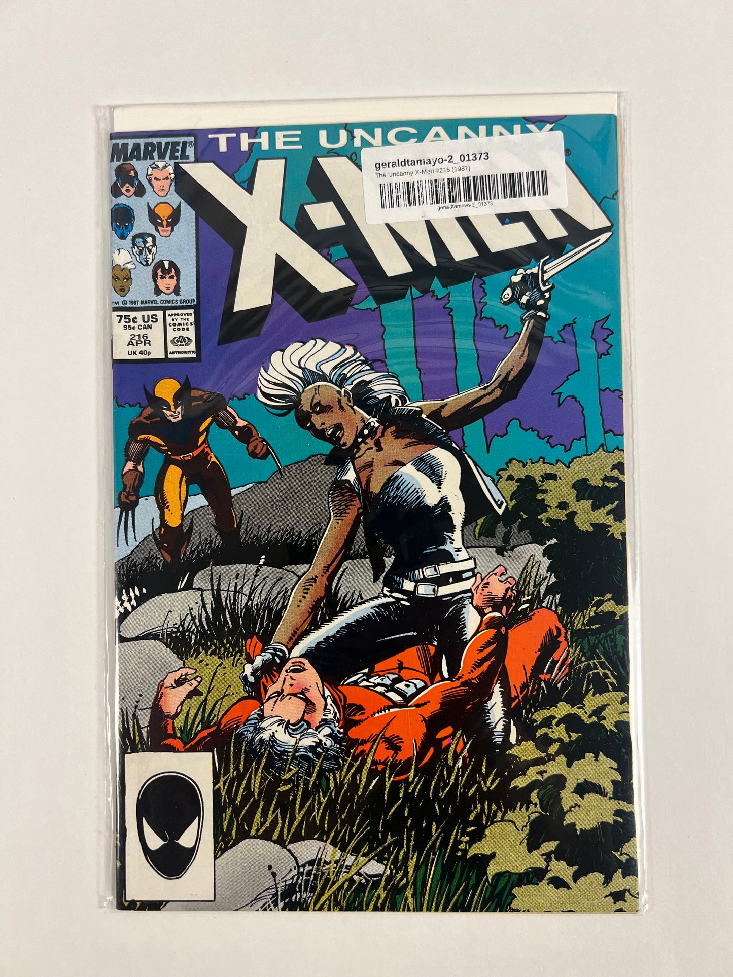 Uncanny X-Men #216 (1987) Barry Windsor-Smith Cover - Storm & Wolverine